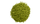 L-Theanine
