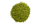 L-Théanine